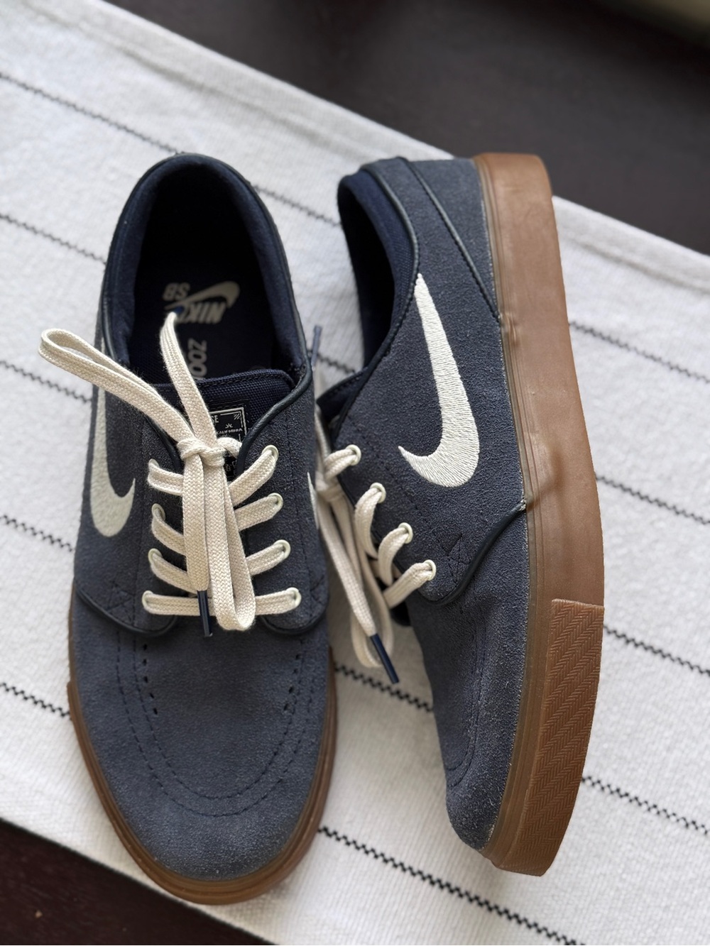 Nike Canvas Skate Sneakers in Navy with Gum Sole